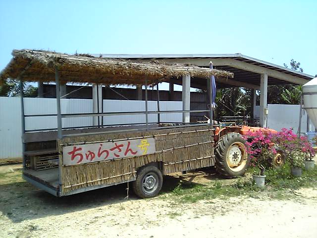 餵